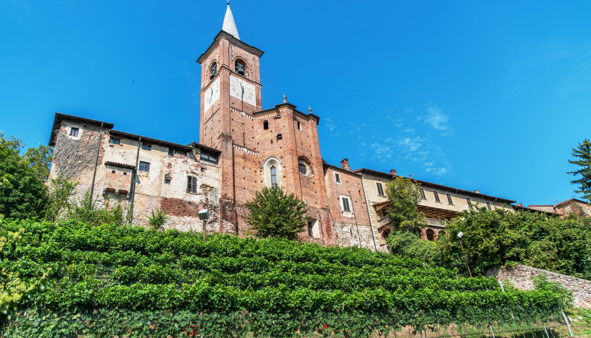 Collegiata vino
